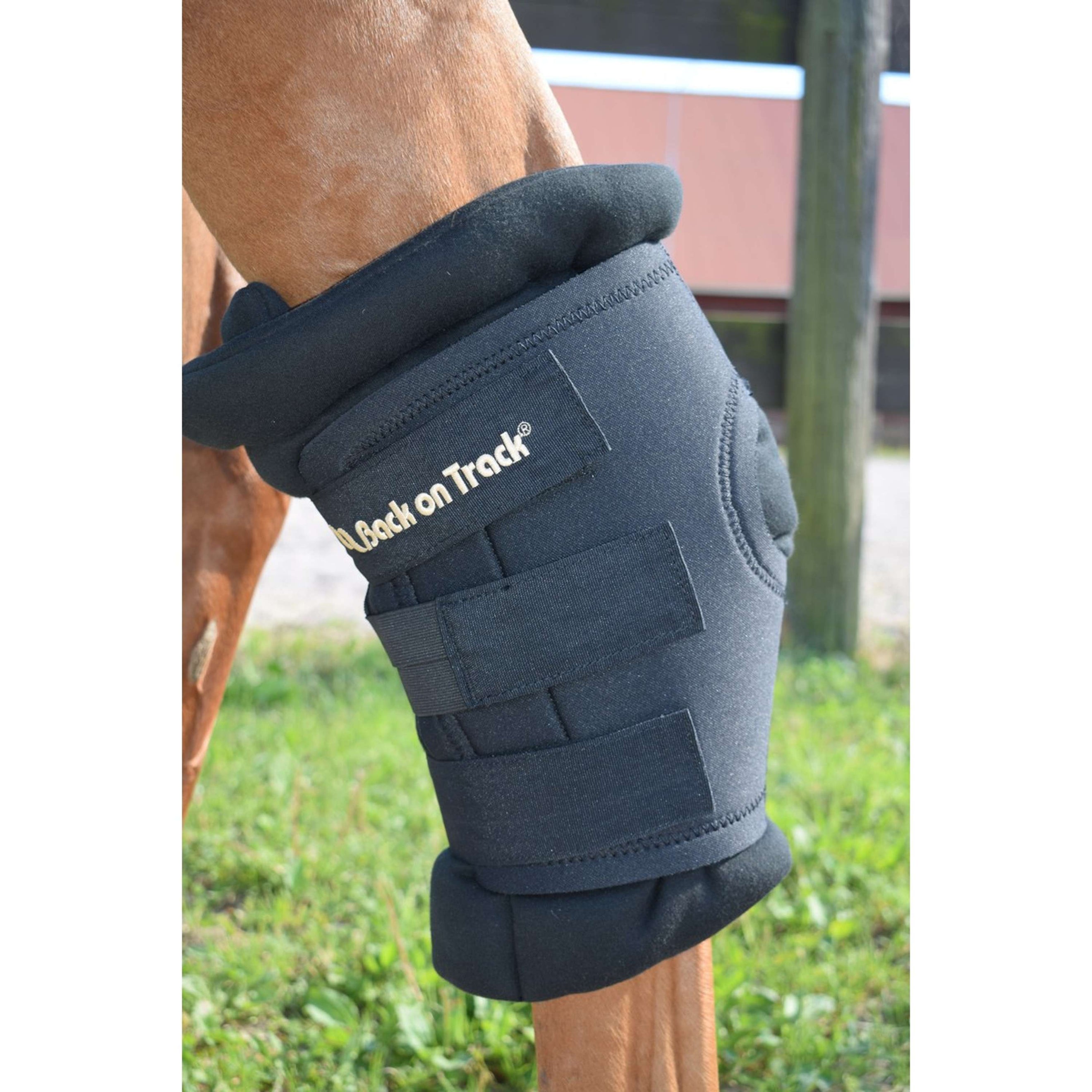 Back on Track Protector de Talón Royal Negro Back on Track Protector de Talón Royal Negro