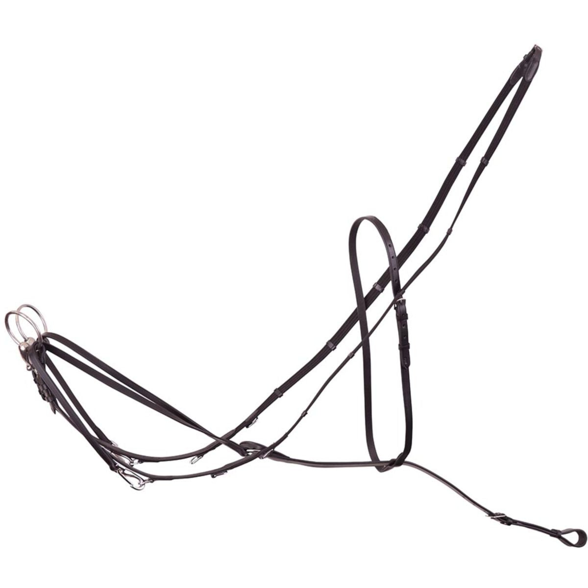 Premiere Enrén Thiedeman Negro