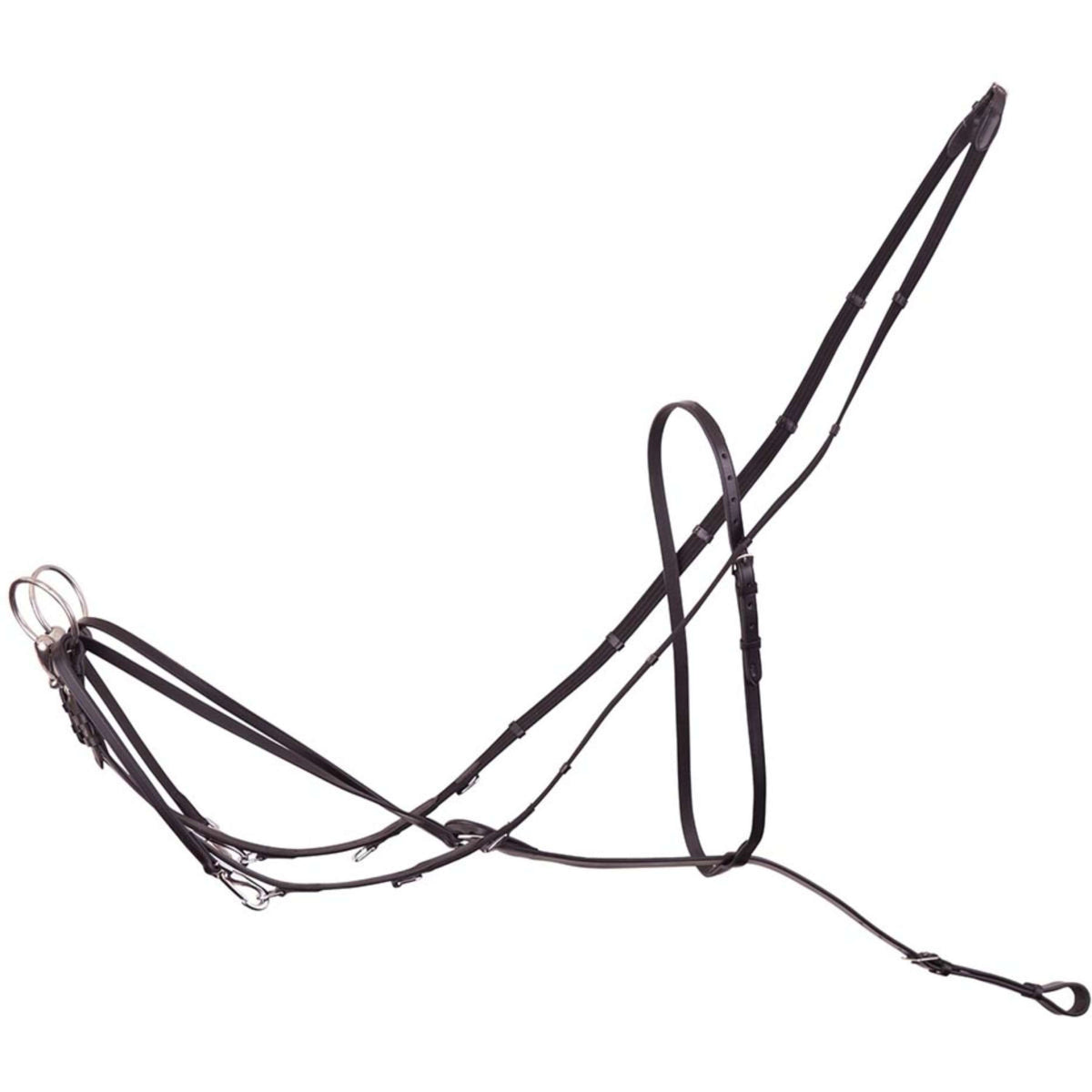 Premiere Enrén Thiedeman Negro