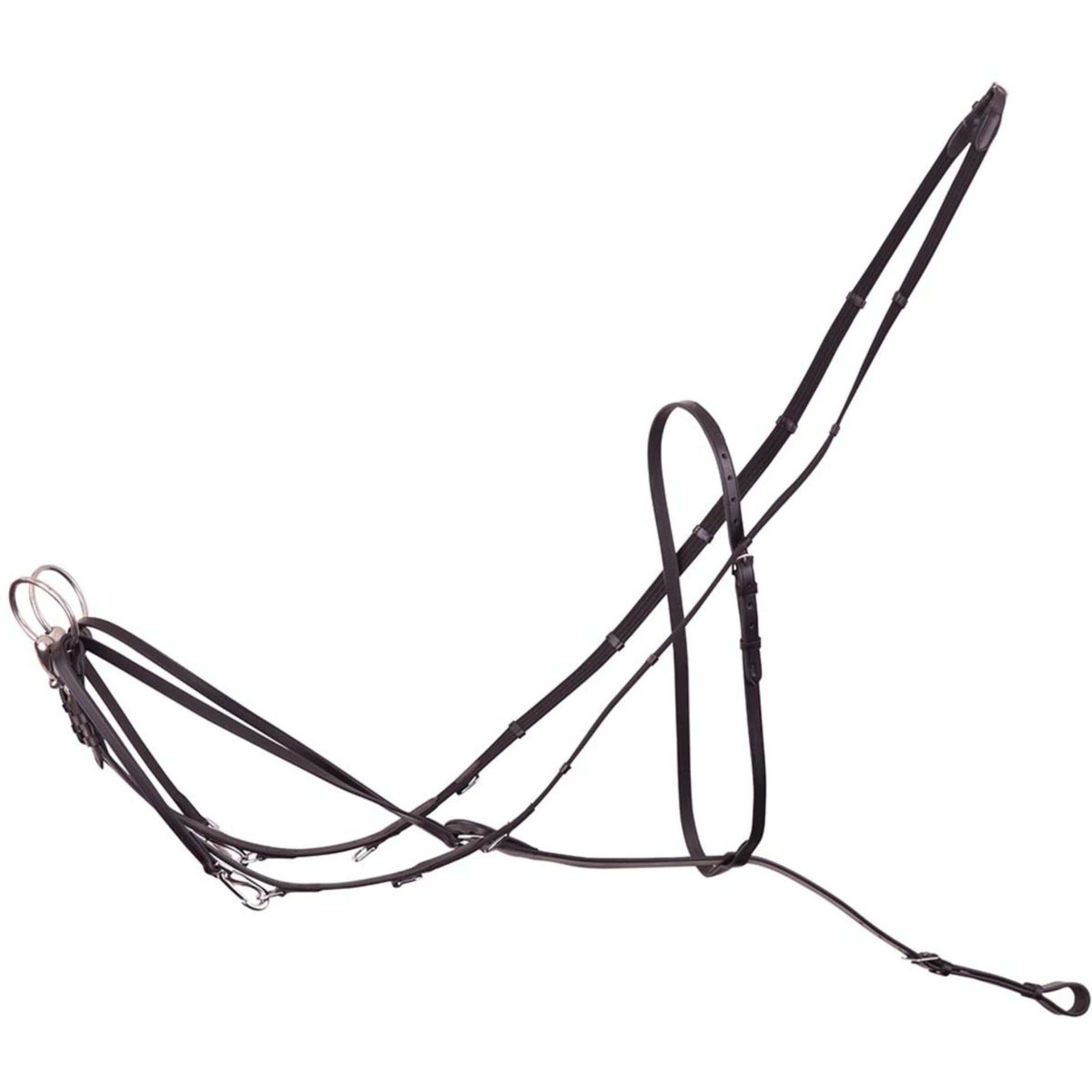 Premiere Enrén Thiedeman Negro