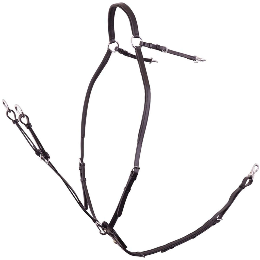 BR Arnés Frontal Rayleigh Negro/Plata