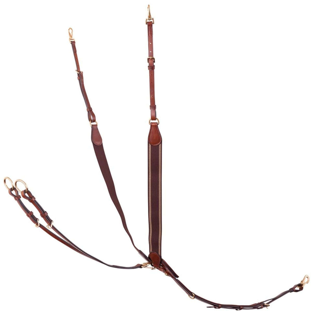 BR Arnés Frontal Taunton Elástico con martingala Tobacco