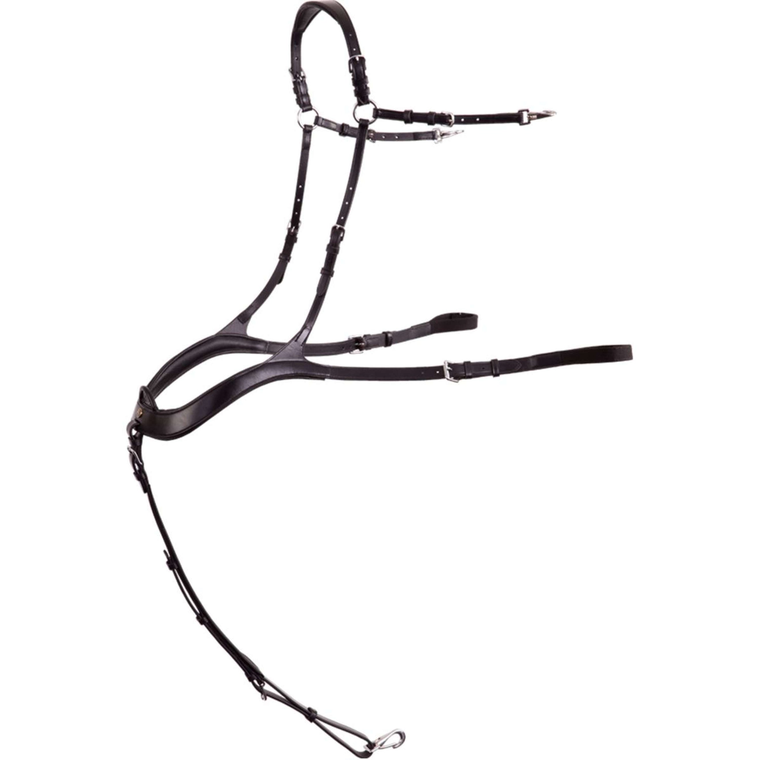 BR Arnés Frontal Heywood Anatomisch Negro/Plata