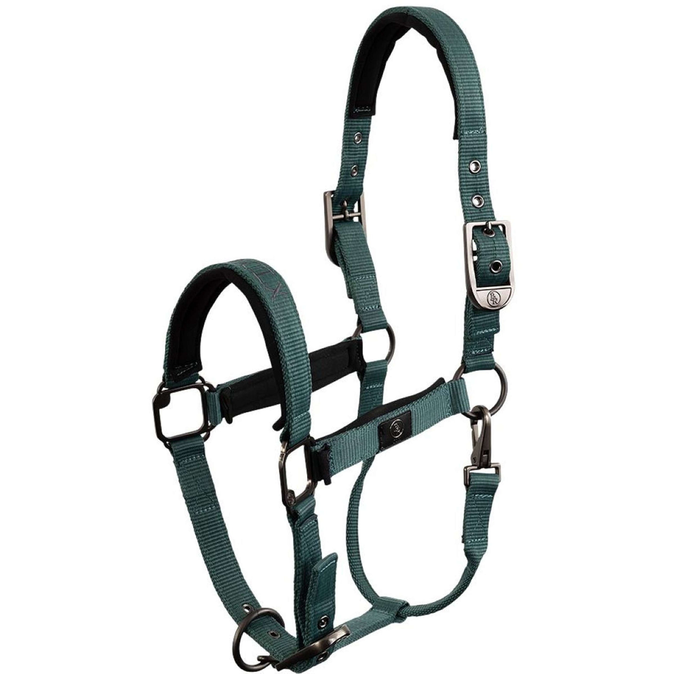 BR Cabezada CLX Sea Spine BR Cabezada CLX Sea Spine