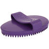 Premiere Cepillo de aseo Palmfit Caucho Morado