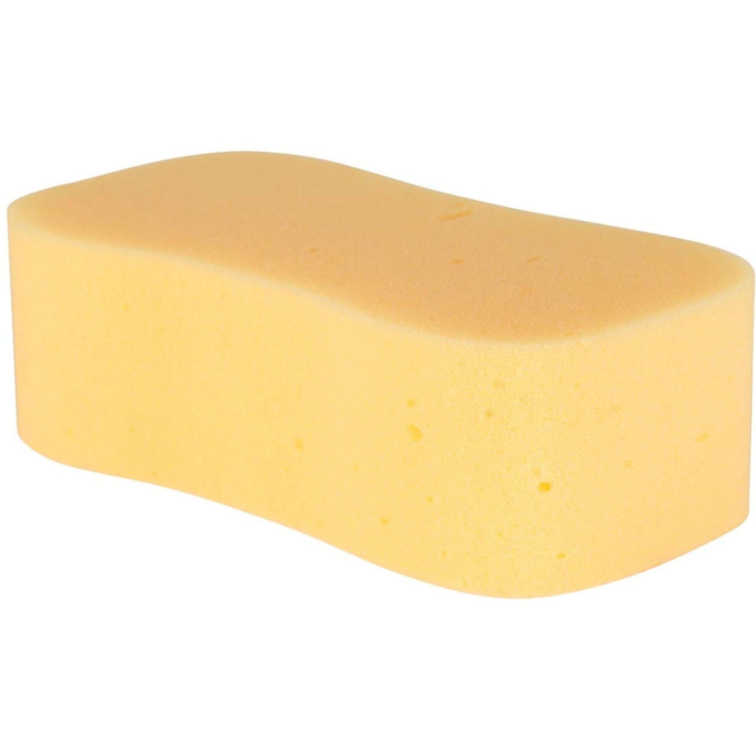 Carr & Day & Martin Esponja Horse Care Sponge Naranja
