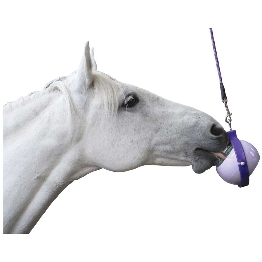 Likit Rompe Aburrimiento