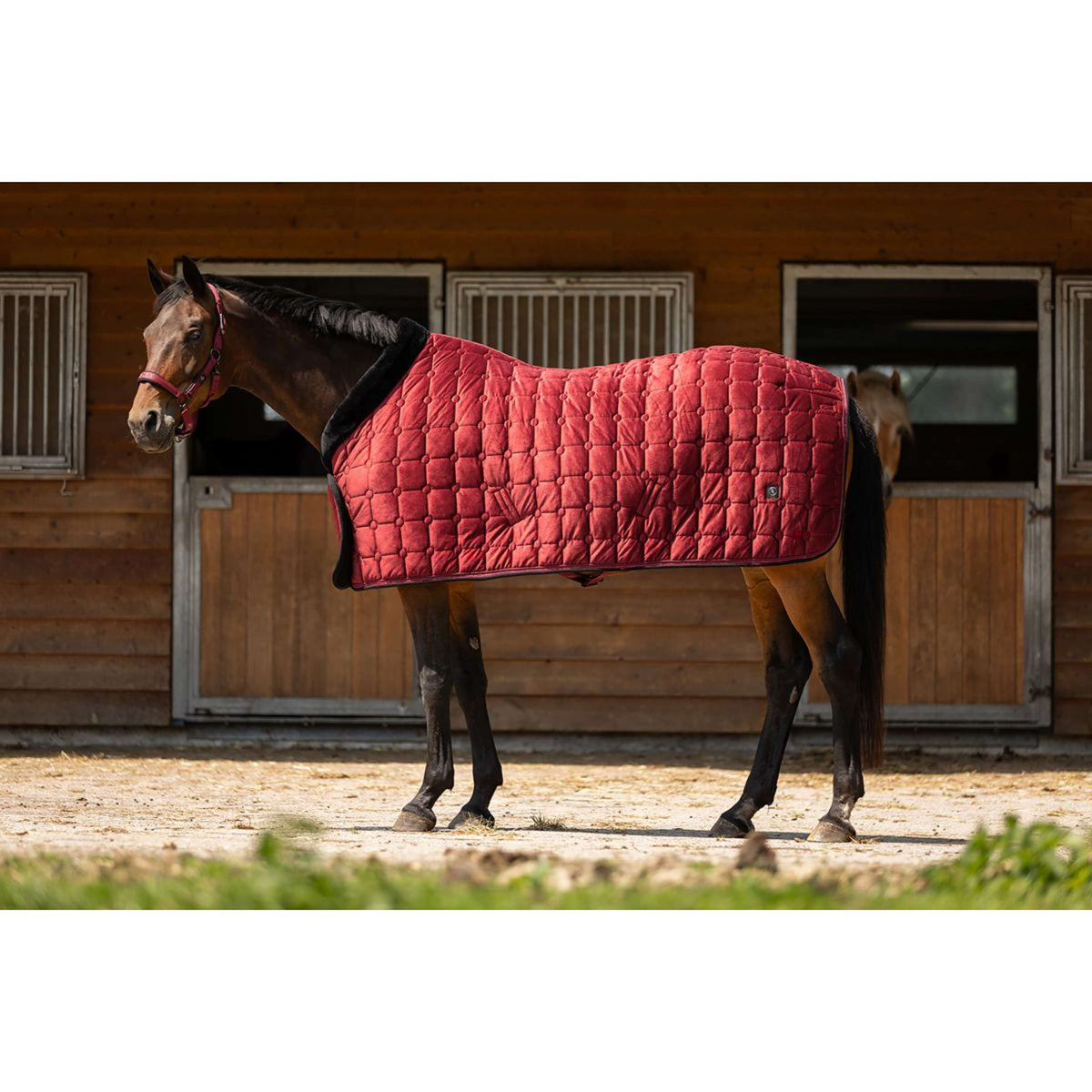 BR Manta de exhibición CLX Cabernet