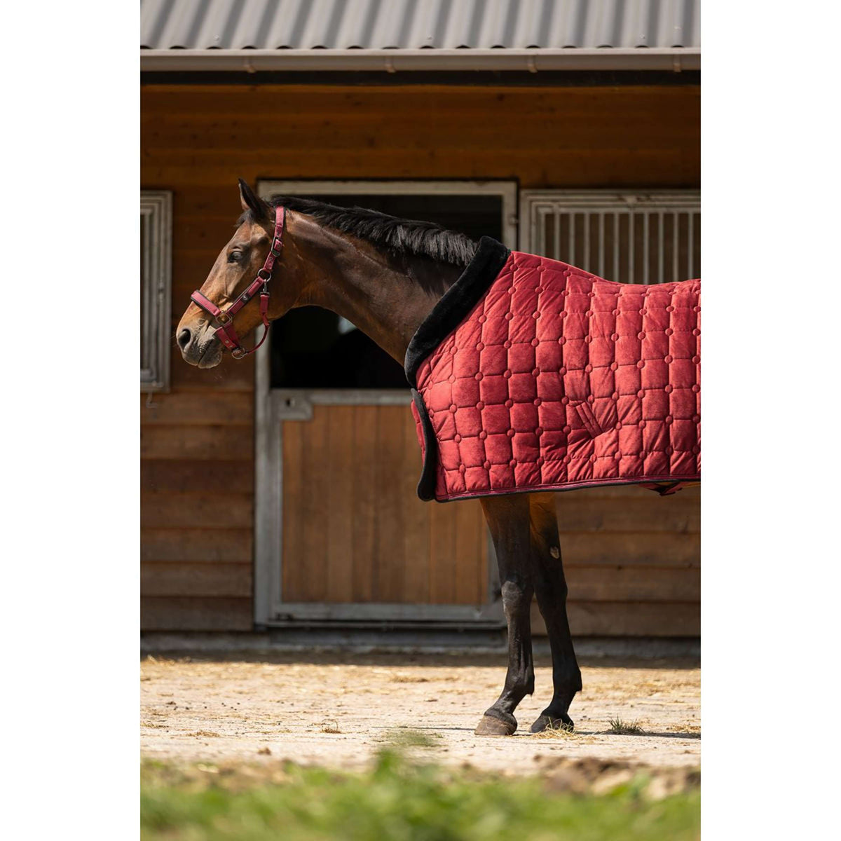 BR Manta de exhibición CLX Cabernet