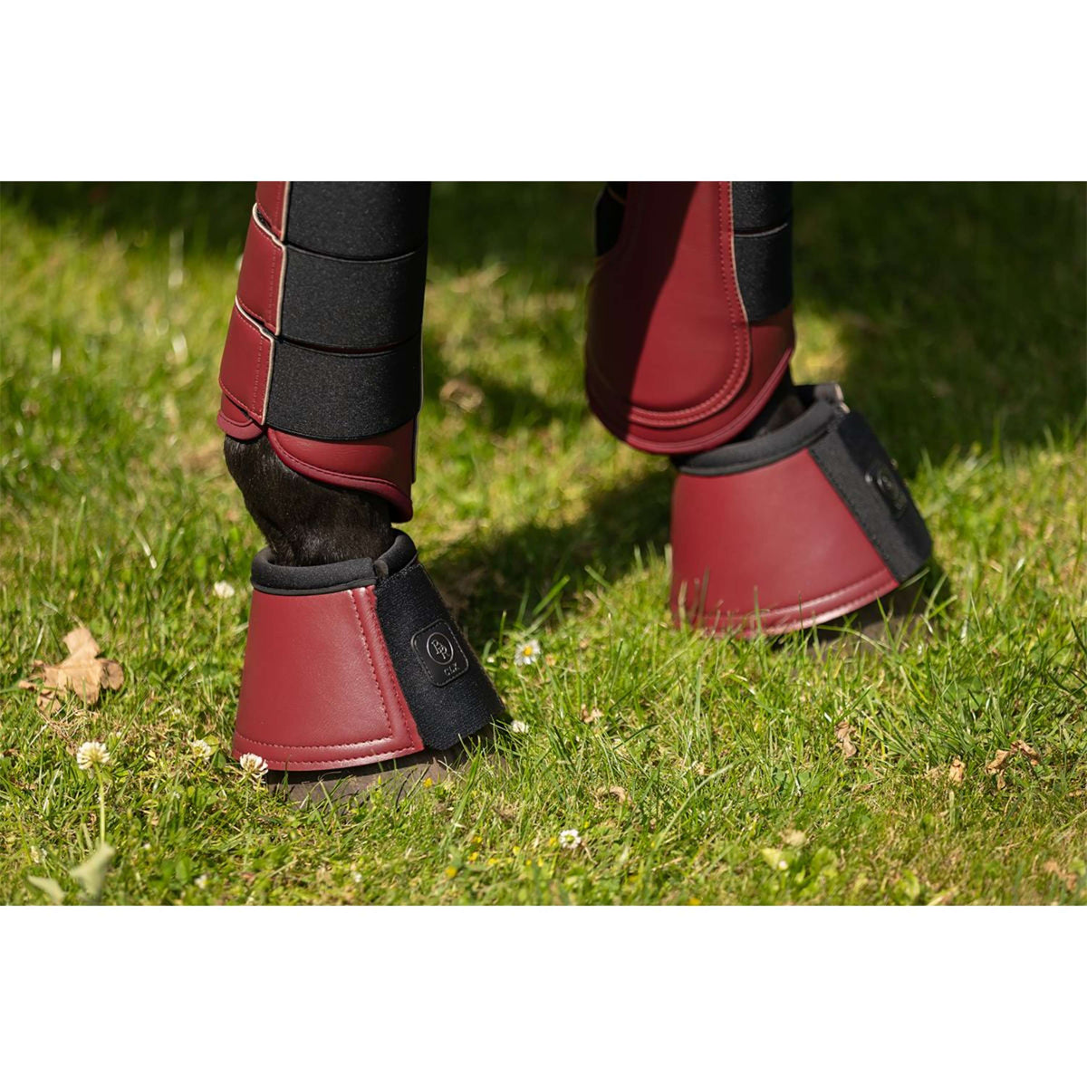 BR Botas para Caballos CLX Cabernet