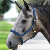 Bucas Cabestro Dublin Foal Navy