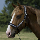 Bucas Cabestro Dublin Foal Zebra