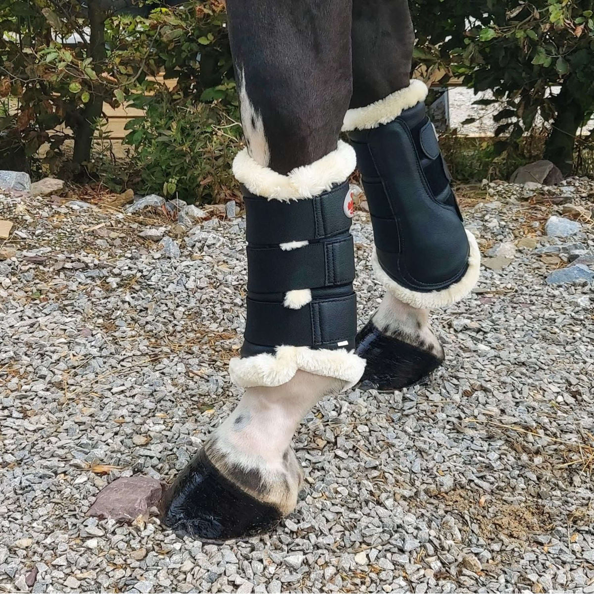 Bucas Brushing Boots Negro