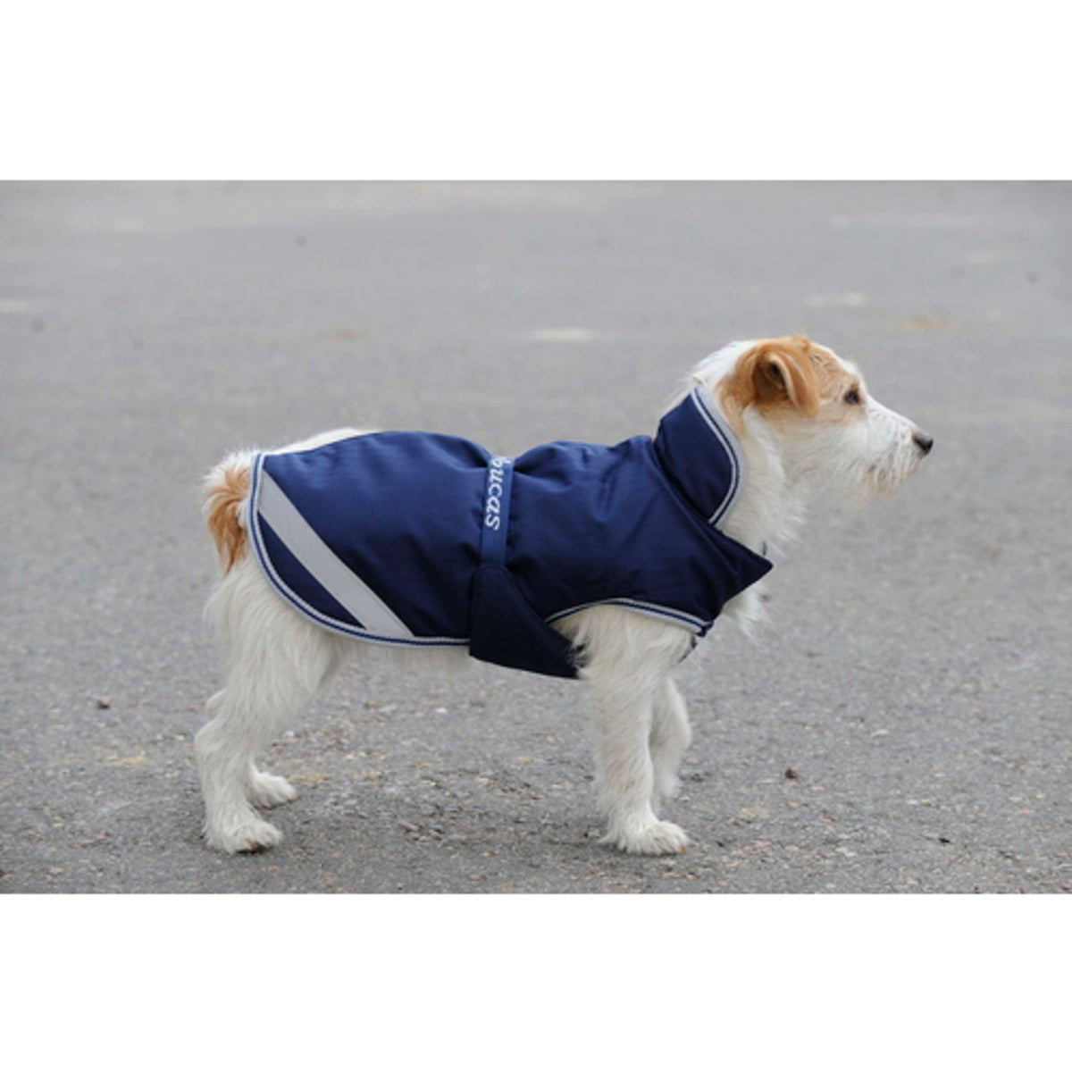 Bucas Manta para Perros Navy