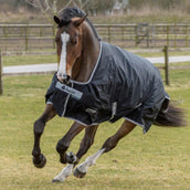 Bucas Anniversary Turnout Light SD Black/Silver