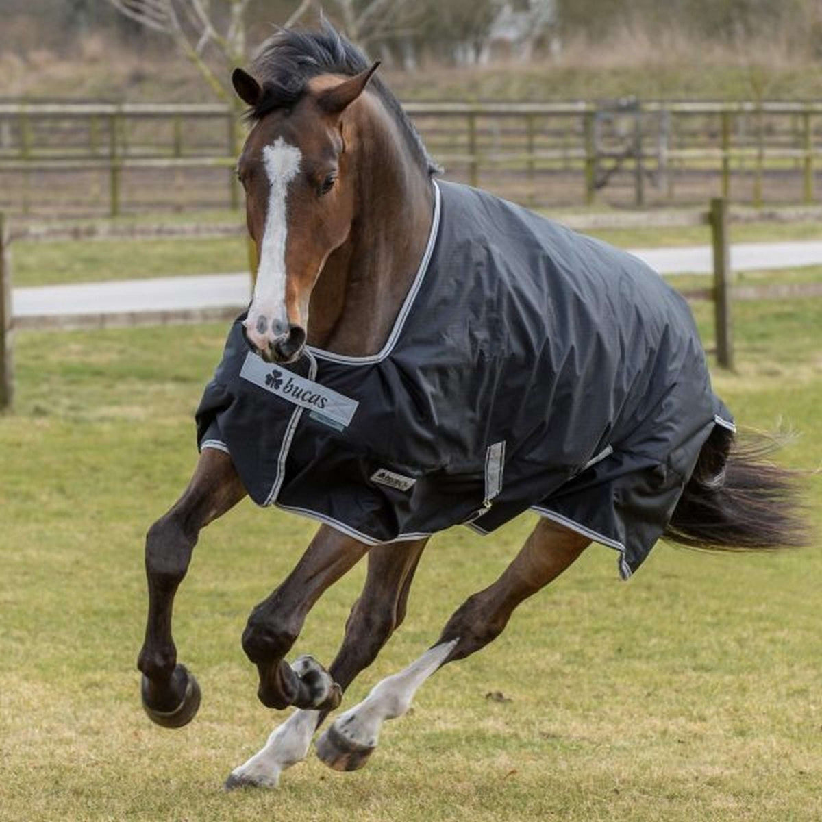 Bucas Anniversary Turnout Light SD Black/Silver