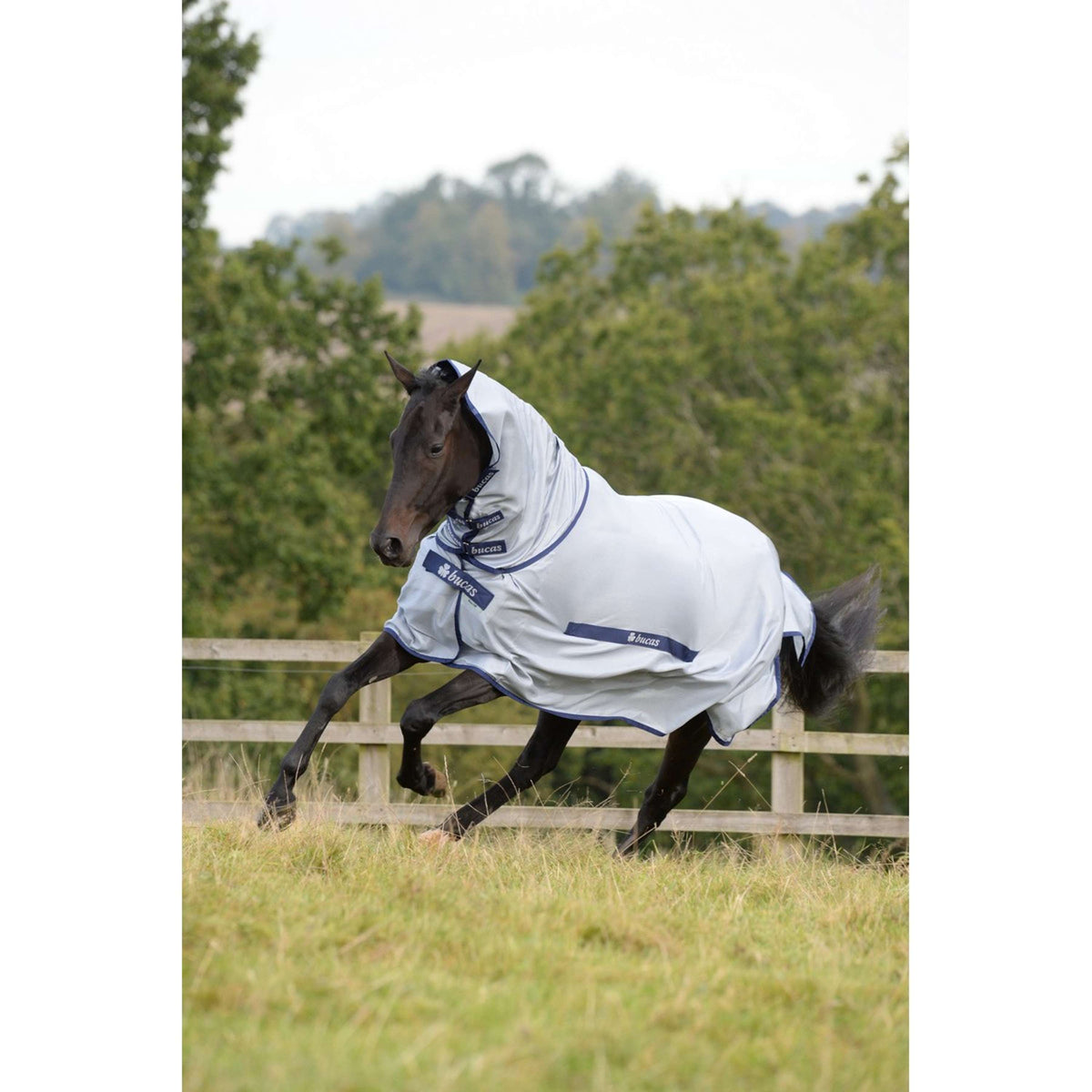 Bucas Buzz-Off & Neck Azul