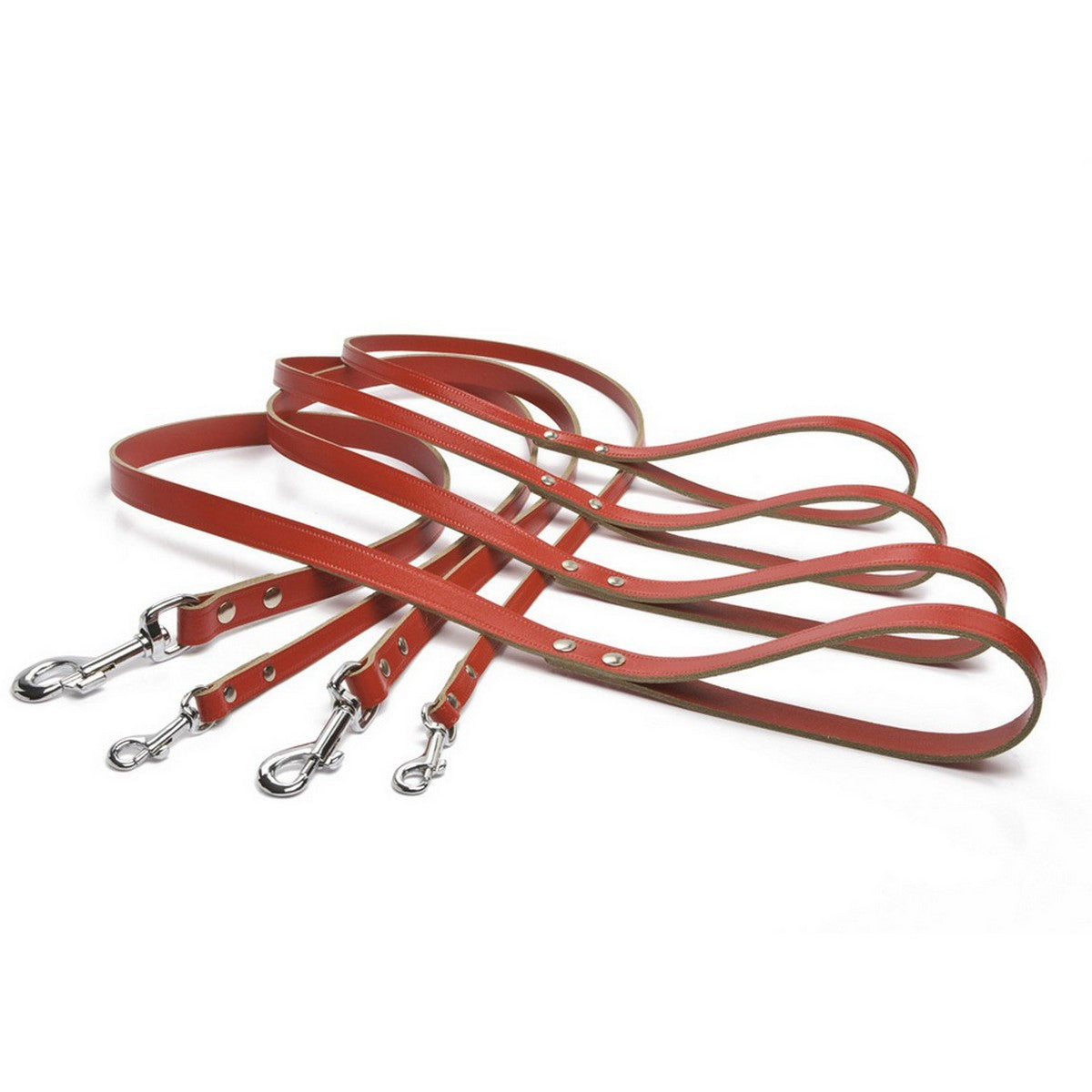 Beeztees Correa Rojo