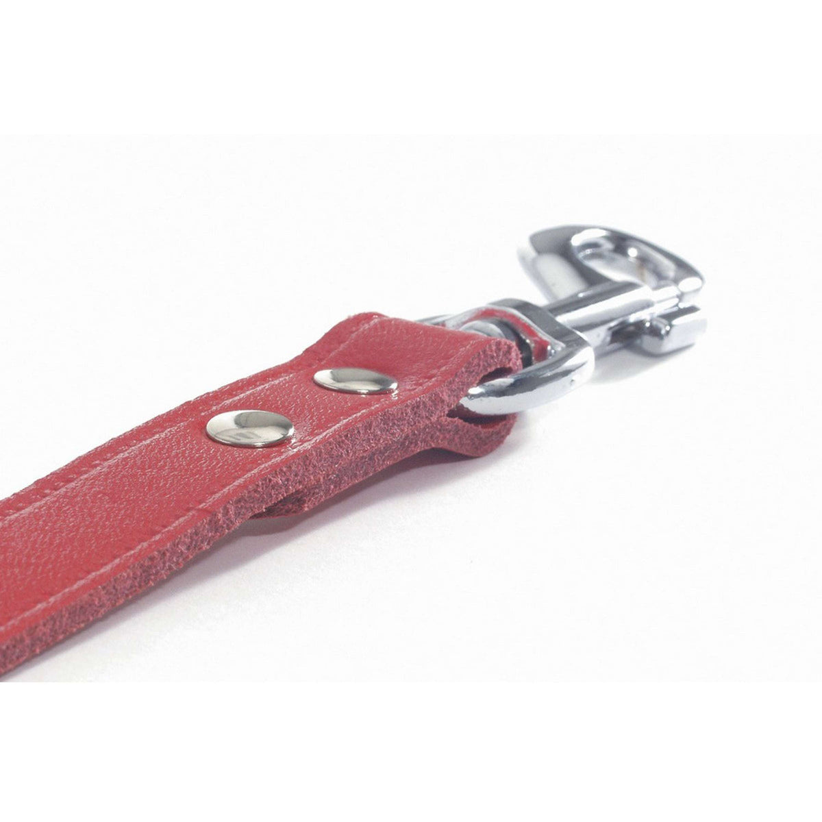 Beeztees Correa Rojo