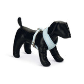 Beeztees Arnés de Pecho Harno Cachorro Azul