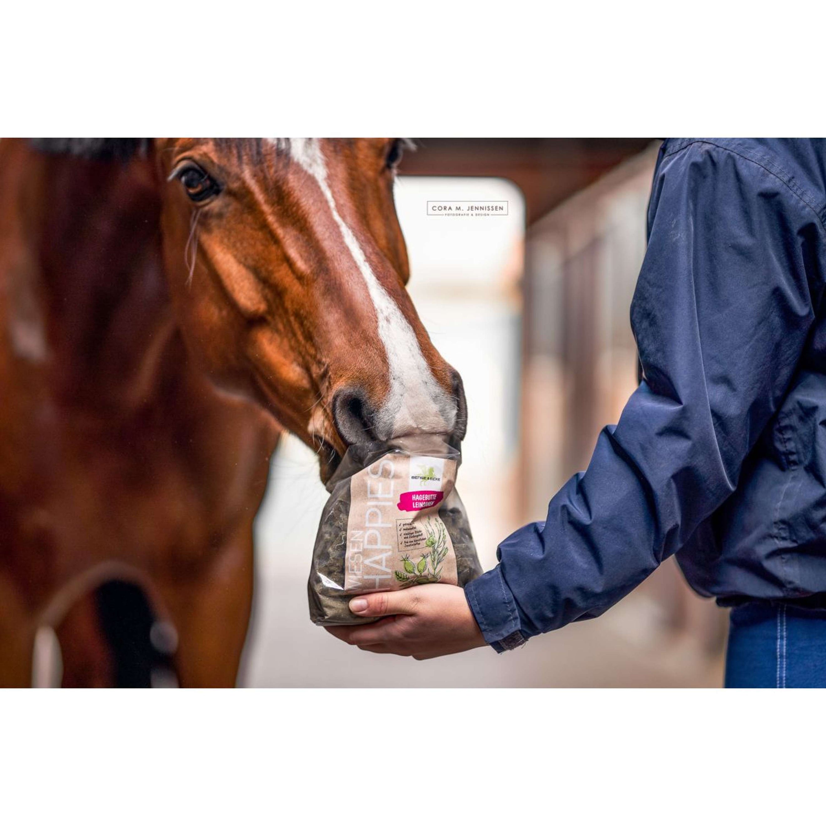 Bense & Eicke Golosinas para Caballos Wiesen Happies Semillas de Lino y Escaramujo