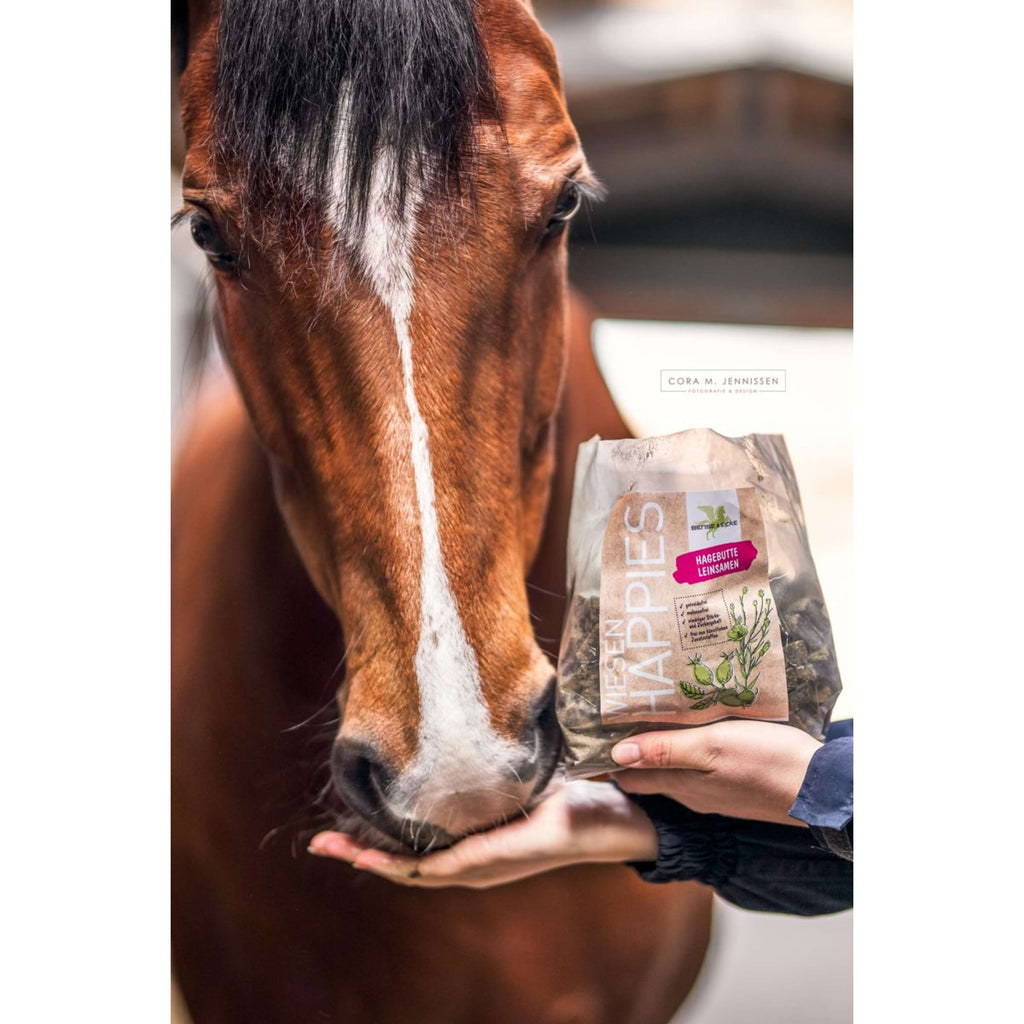 Bense & Eicke Golosinas para Caballos Wiesen Happies Semillas de Lino y Escaramujo