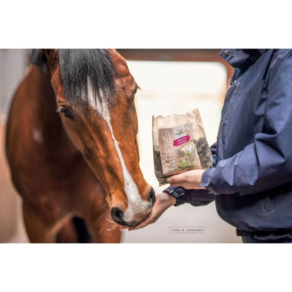 Bense & Eicke Golosinas para Caballos Wiesen Happies Semillas de Lino y Escaramujo