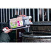 Bense & Eicke Elixir de Hierbas