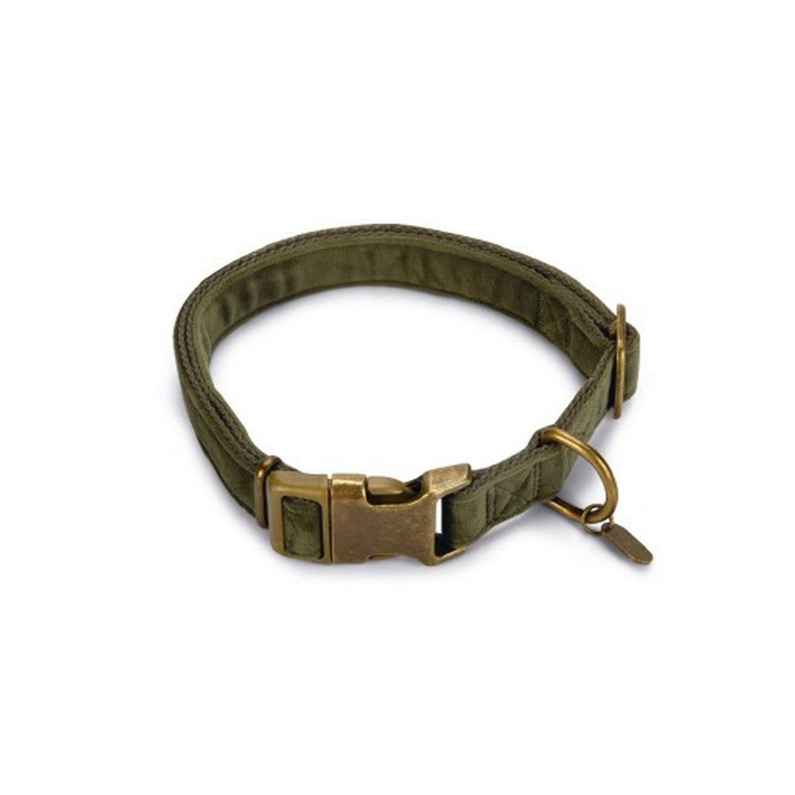 Designed by Lotte Collar para Perro Velura Español (ES): Terciopelo Verde Designed by Lotte Collar para Perro Velura Español (ES): Terciopelo Verde