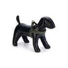 Designed by Lotte Arnés para Perro Velura Español (ES): Terciopelo Verde
