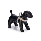 Designed by Lotte Arnés para Perro Velura Español (ES): Terciopelo Gris