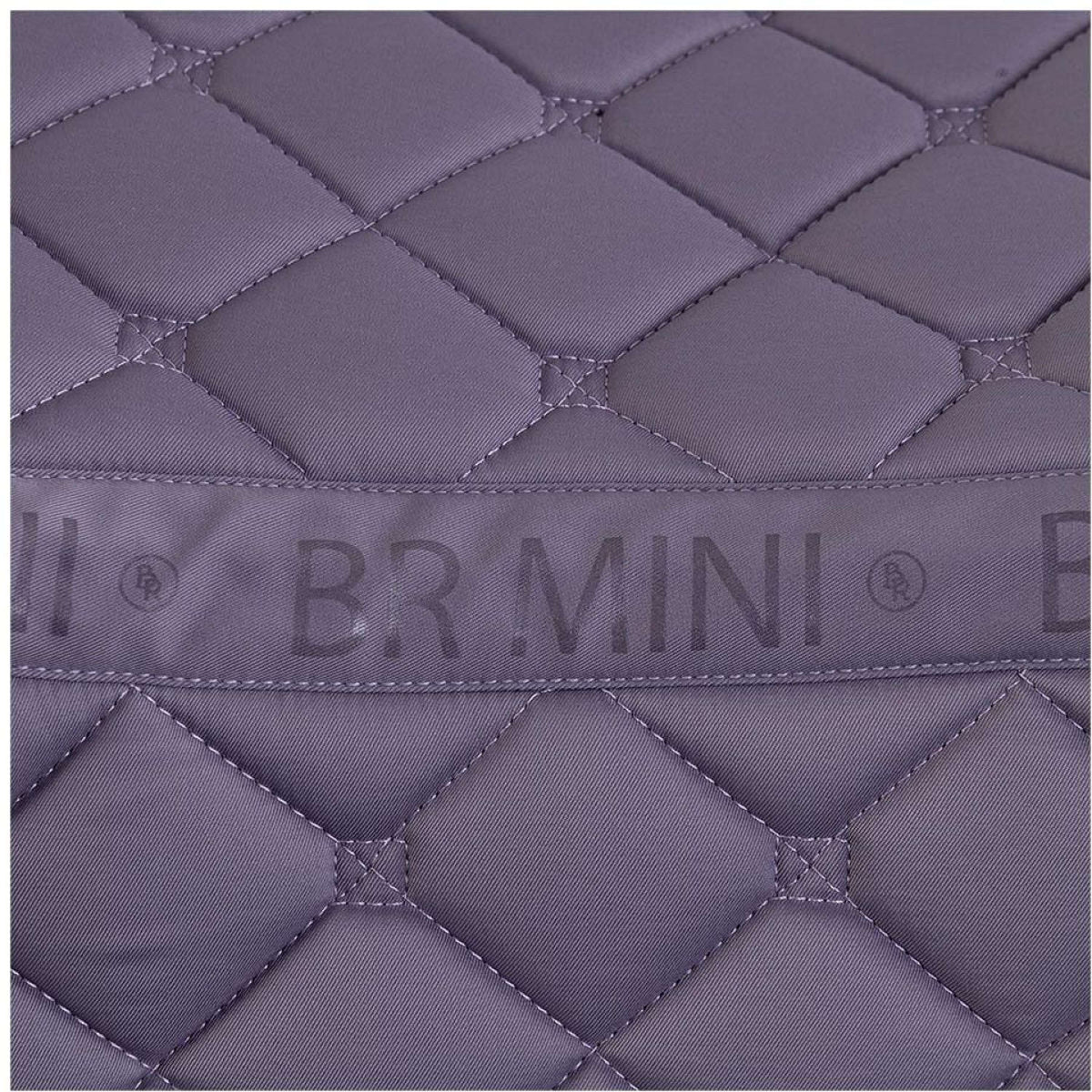 BR Mantilla Mini Horse Cadete