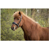 BR Brida Barnet Negro/Plata