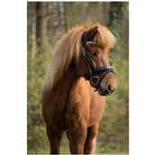 BR Brida Barnet Negro/Plata