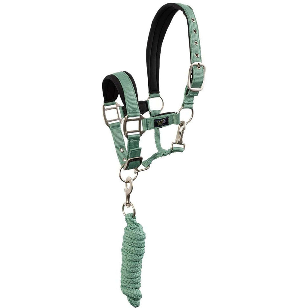 BR Juego de Cabestro Mini Horse Feldspar