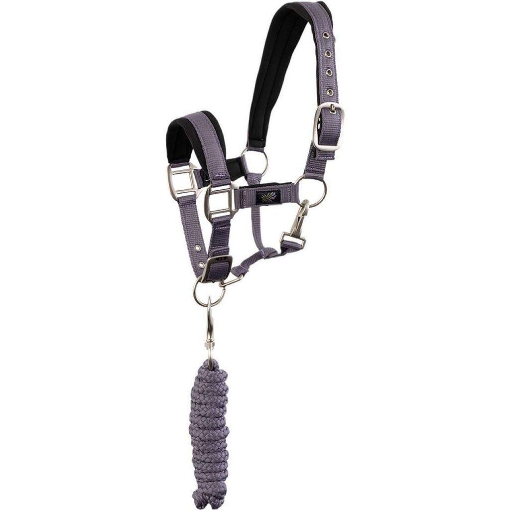 BR Juego de Cabestro Mini Horse Cadete