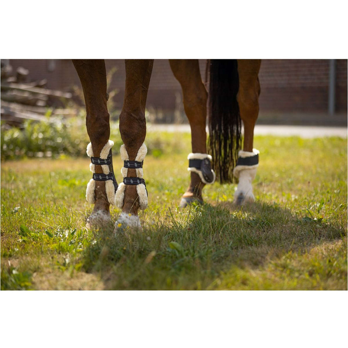 BR Botas para tendones Urban Comfort Marron