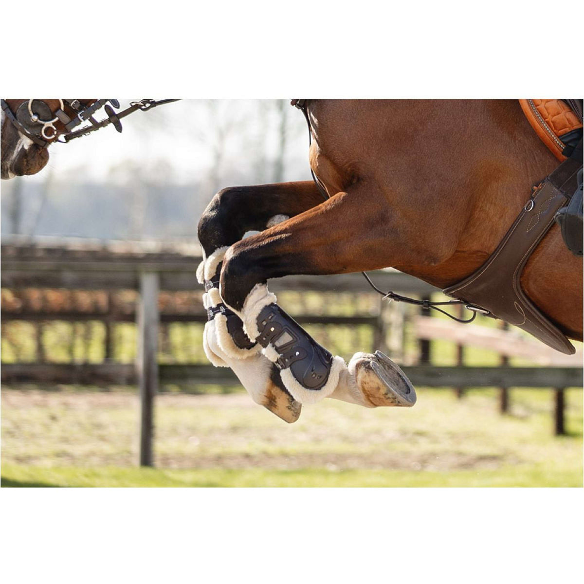 BR Botas para tendones Urban Comfort Marron