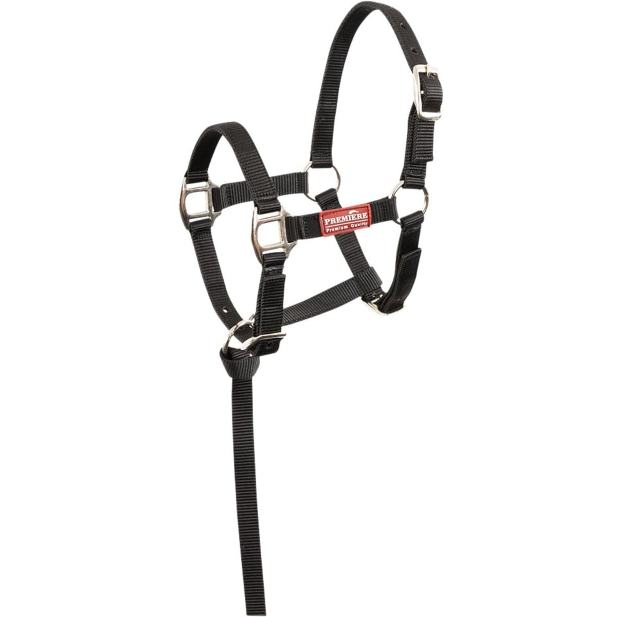 Premiere Conjunto de Cabestro para Potro Brisk Con Mini Línea Negro