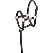 Premiere Conjunto de Cabestro para Potro Brisk Con Mini Línea Negro