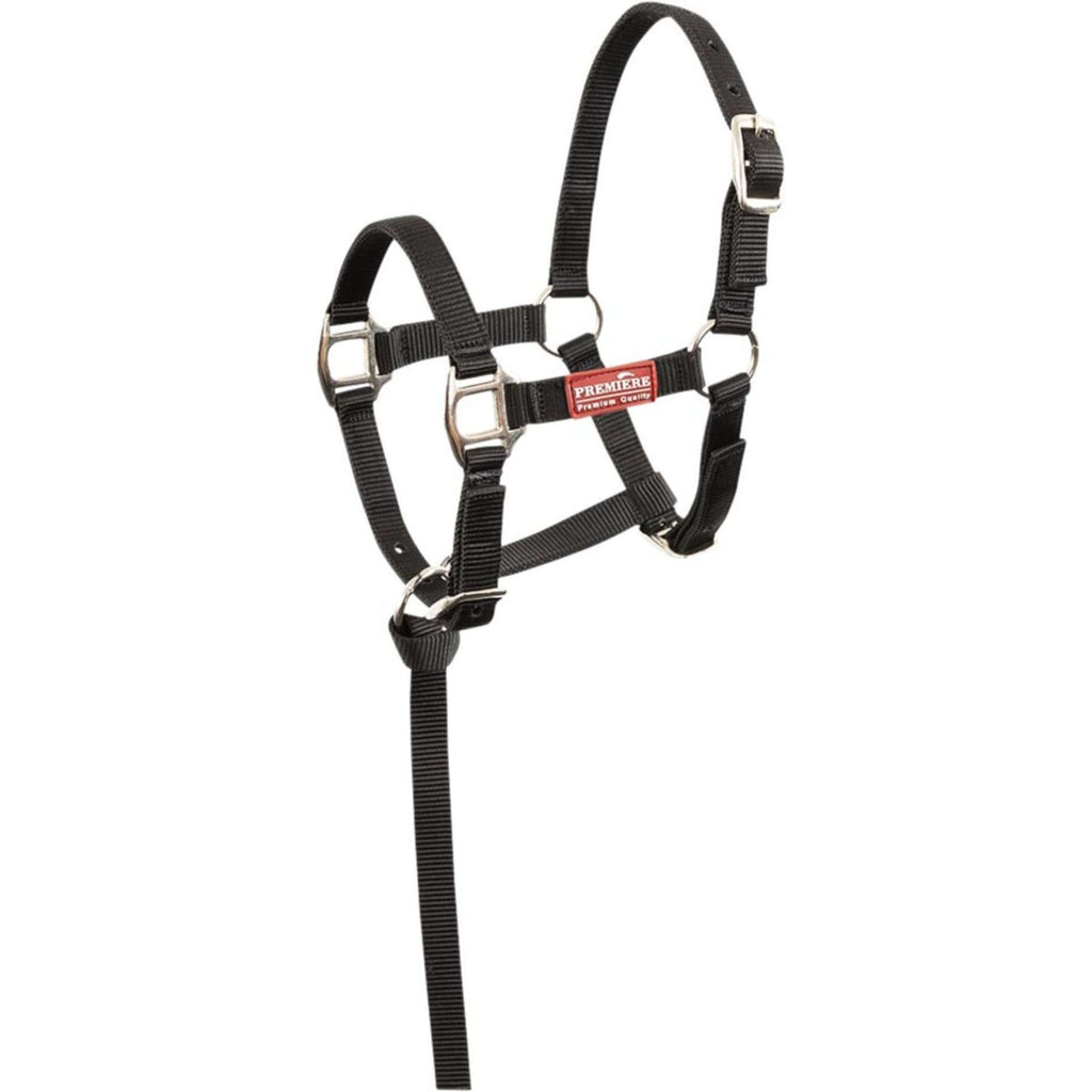 Premiere Set de Cabestro para Potro Brisk con Mini Ramal Negro