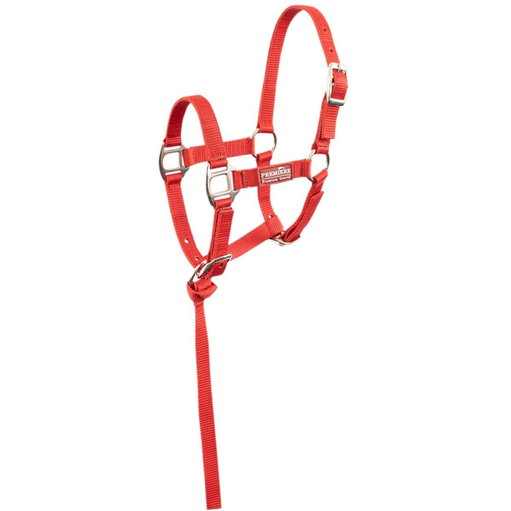 Premiere Set de Cabestro para Potro Brisk con Mini Ramal Pompeian Red