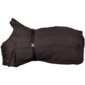 BR Alfombra Interior Negro