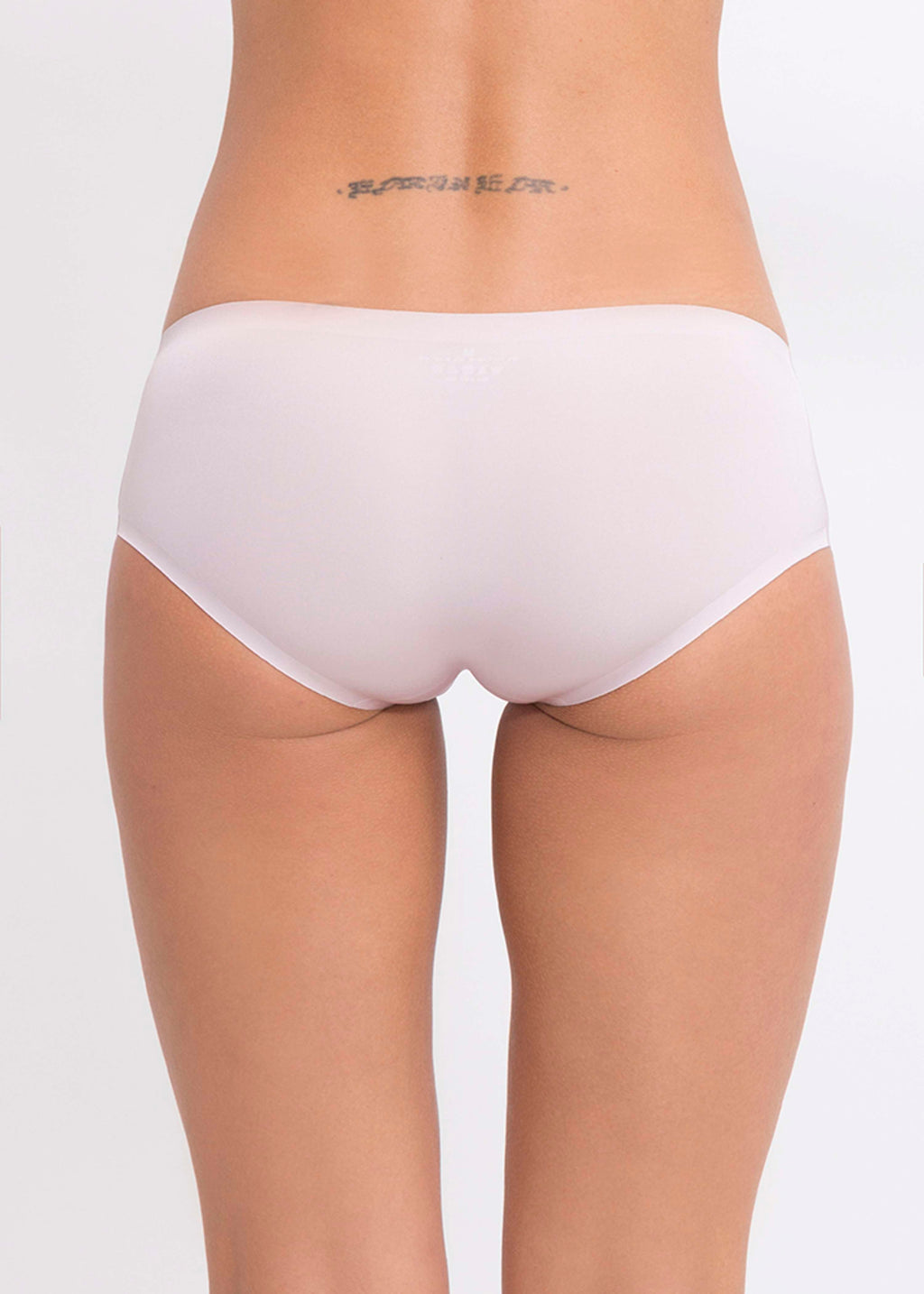 Q Linn Boxer Violeta