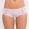 Q Linn Boxer Violeta