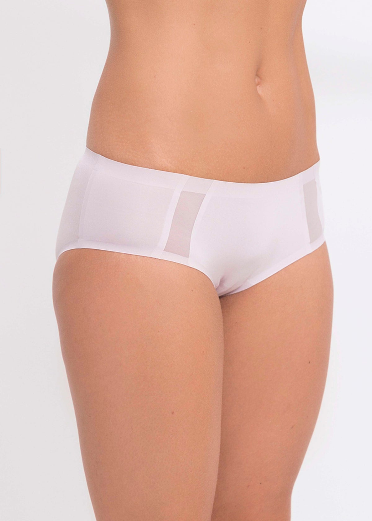 Q Linn Boxer Violeta