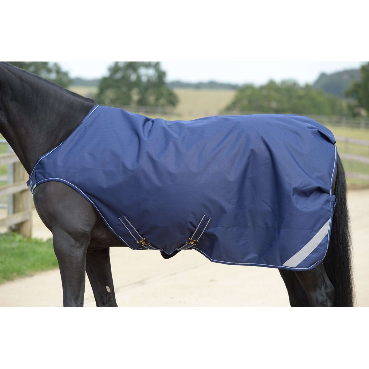 Bucas Walker Navy/Plata