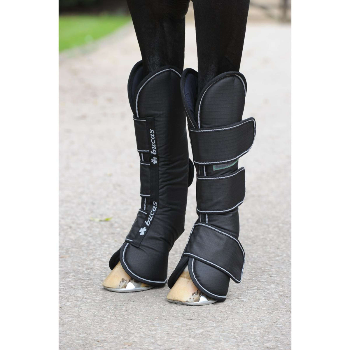 Bucas Boots Freedom Negro