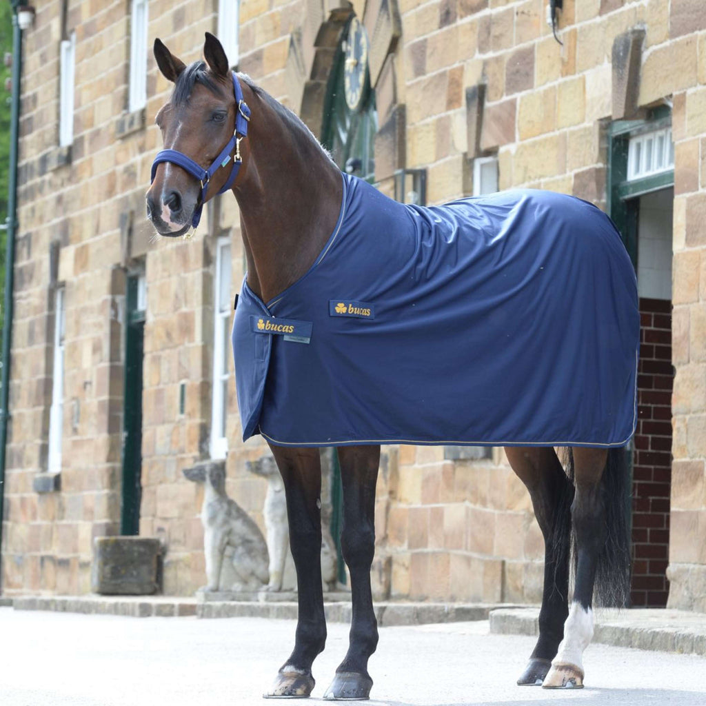 Bucas Price Cooler Panel Navy/Gold