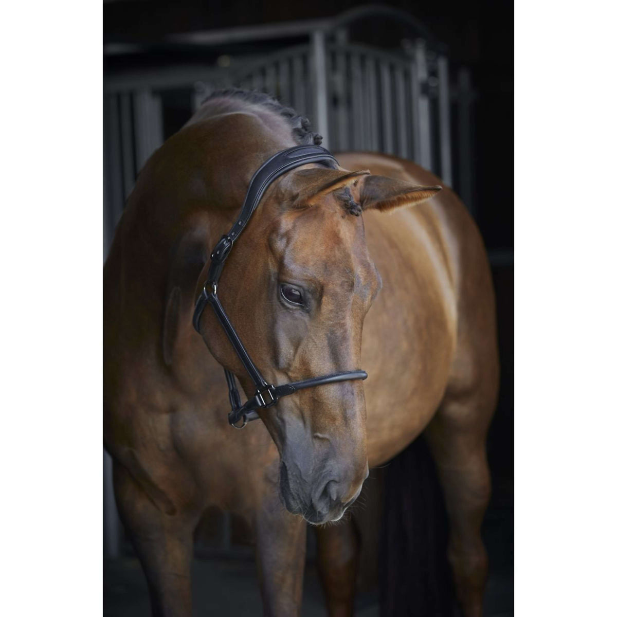 Catago Cabezada de Cuero Negro